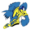 University of Delaware Rugby
